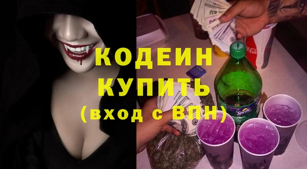 гидра Няндома