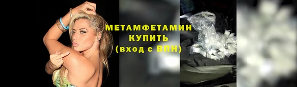 гидра Няндома