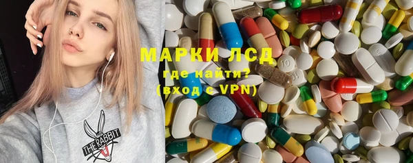 apvp Вяземский