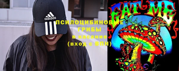 apvp Вяземский