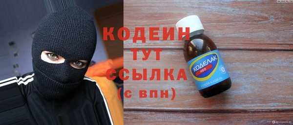 apvp Вяземский