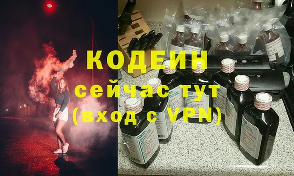 apvp Вяземский