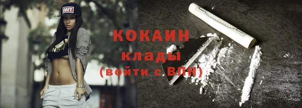 apvp Вяземский